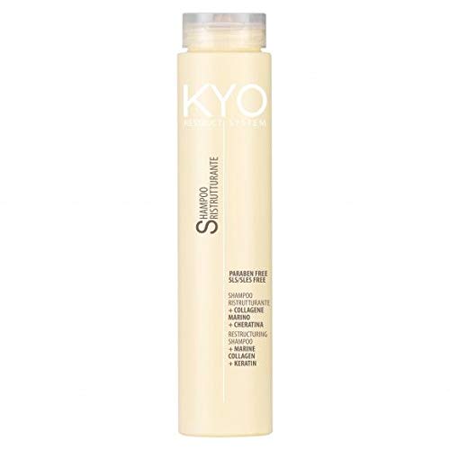 KYO Restruct System Restructuring Shampoo 250ml