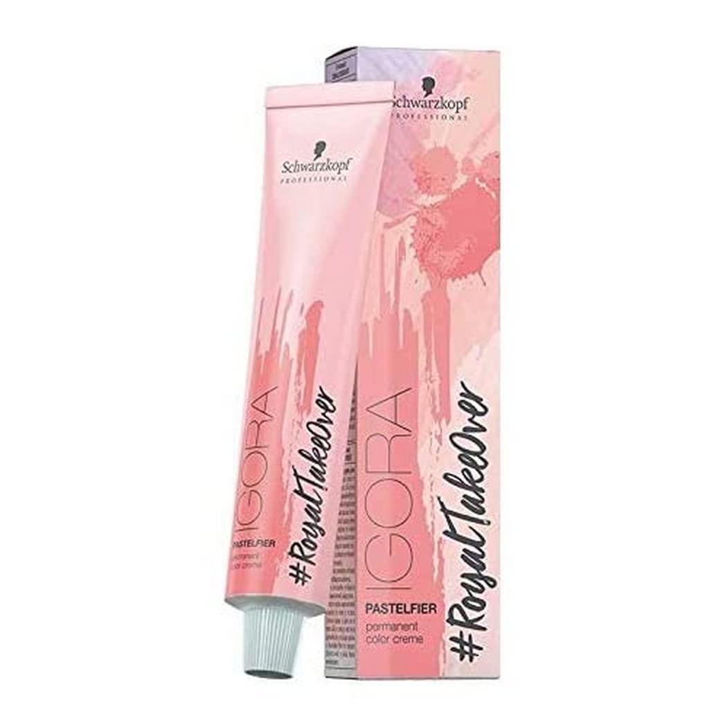 Schwarzkopf Farba Igora Royal 60ml 8-21