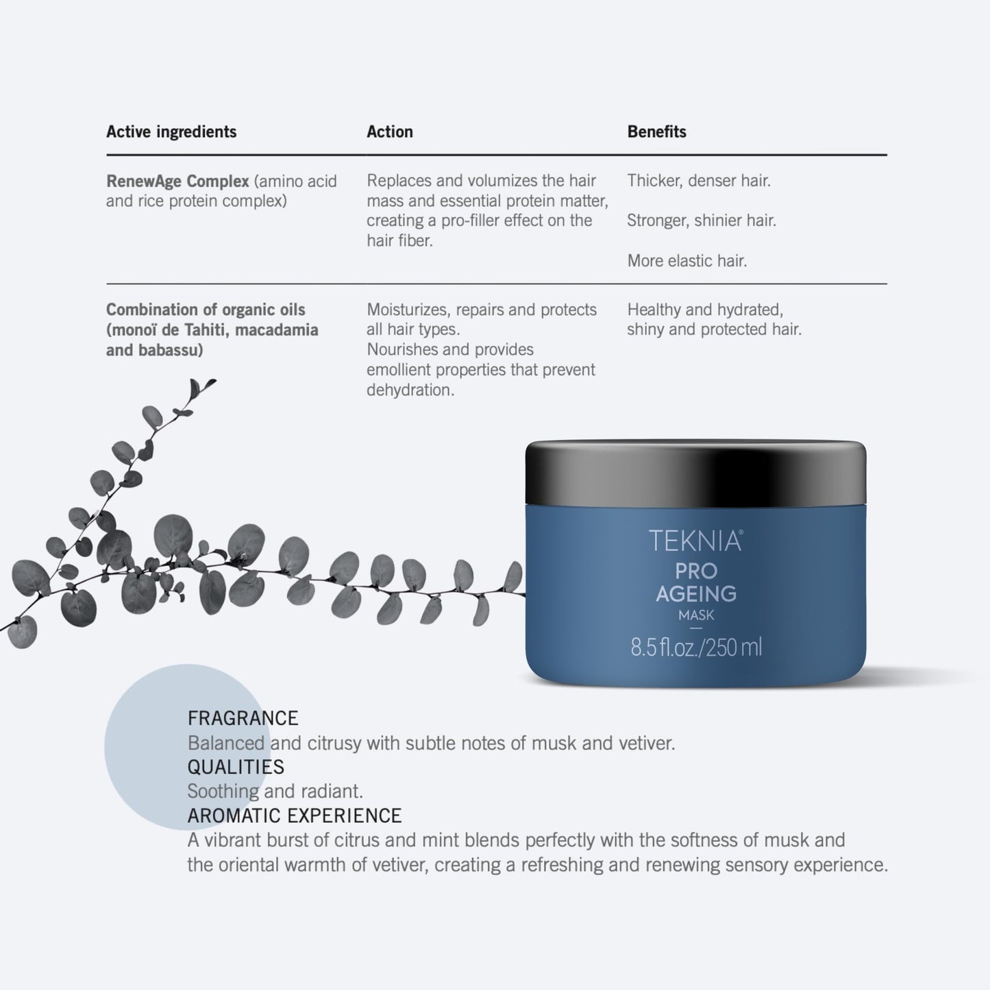 Lakme Teknia Pro-Ageing Mask 250ml
