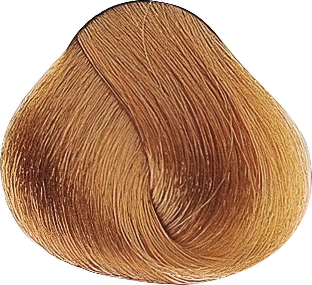 Alfaparf Farba Evolution Of The Color 60ml 9.3