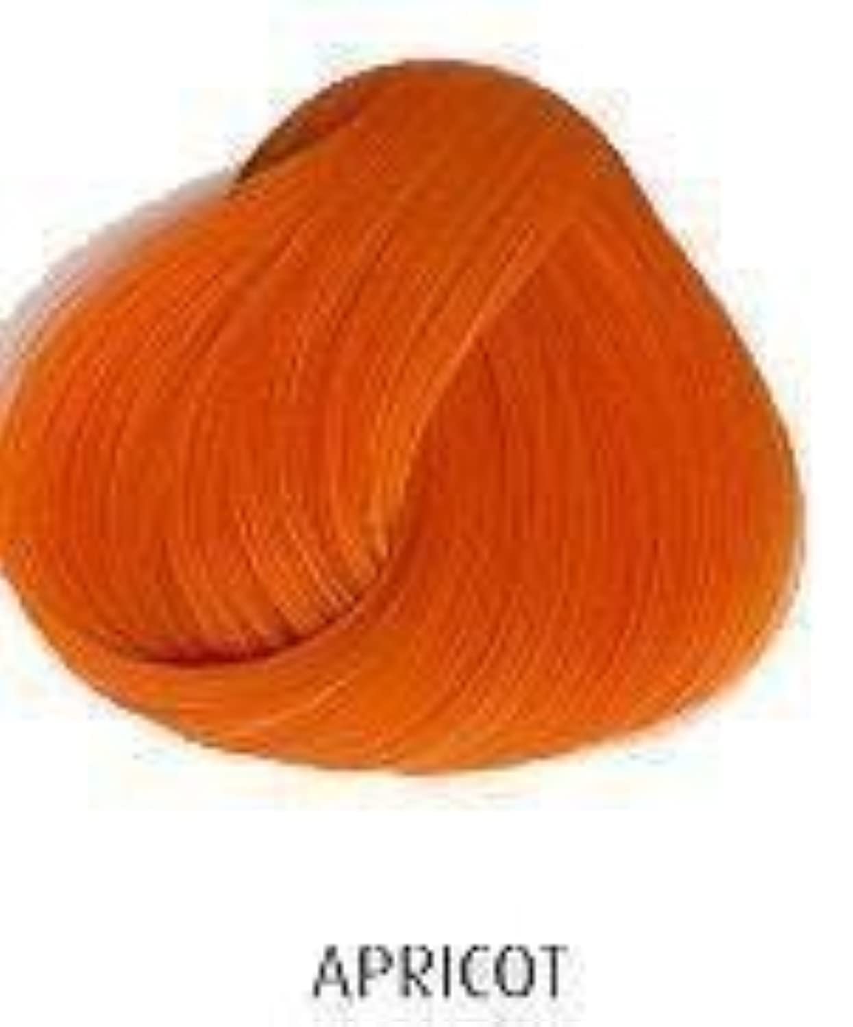 La Riche Directions Apricot 100ml