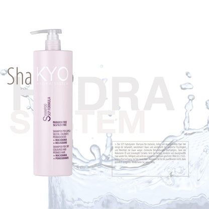 KYO Hydra System Dry Coloured Hair Shampoo 500ml