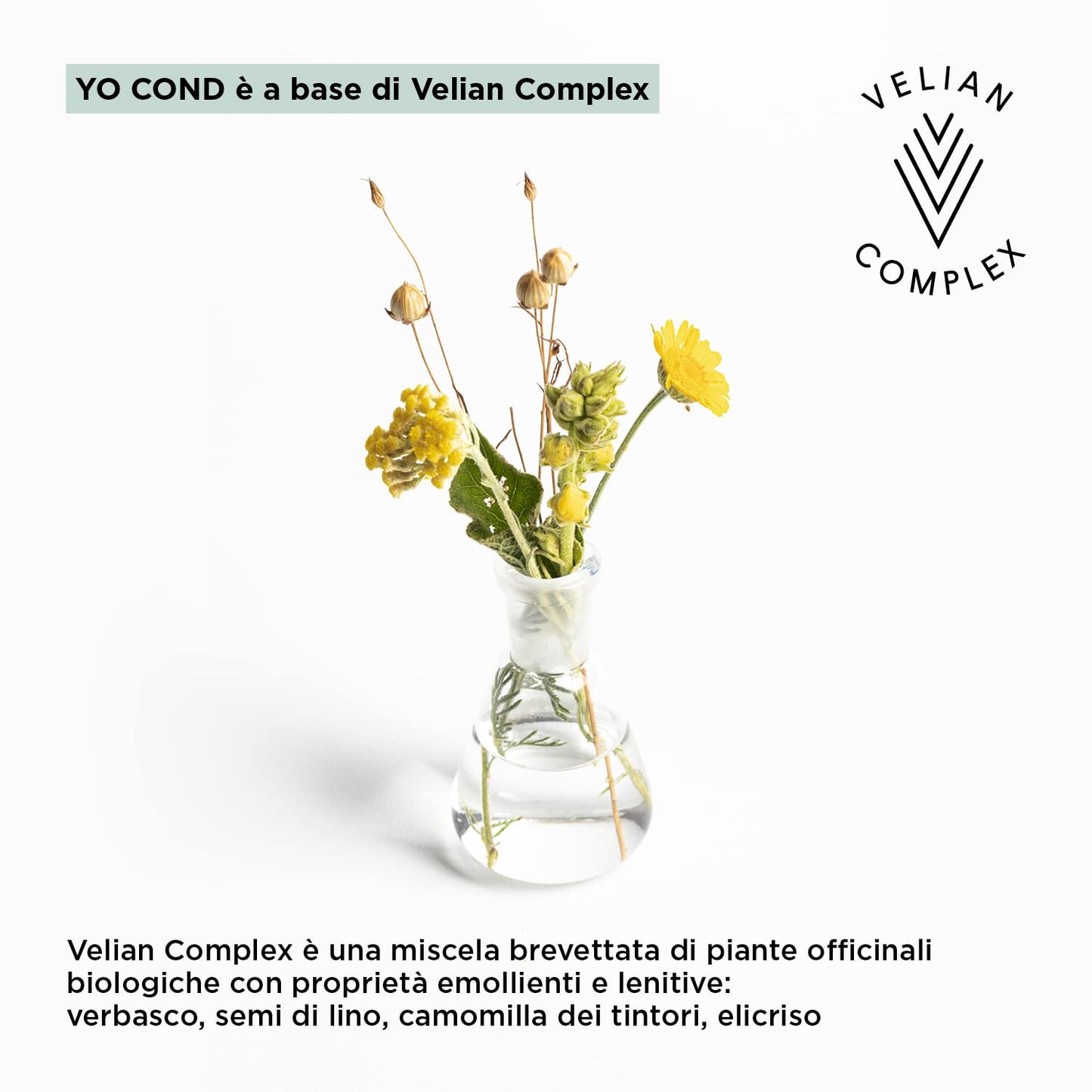 Kemon Yo Cond Cioccolato Czekolada 250ml
