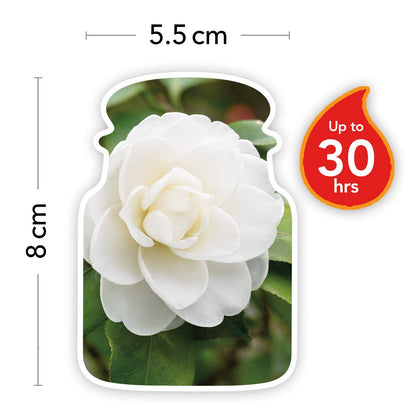 Yankee Candle Small Jar Camellia Blossom 104g