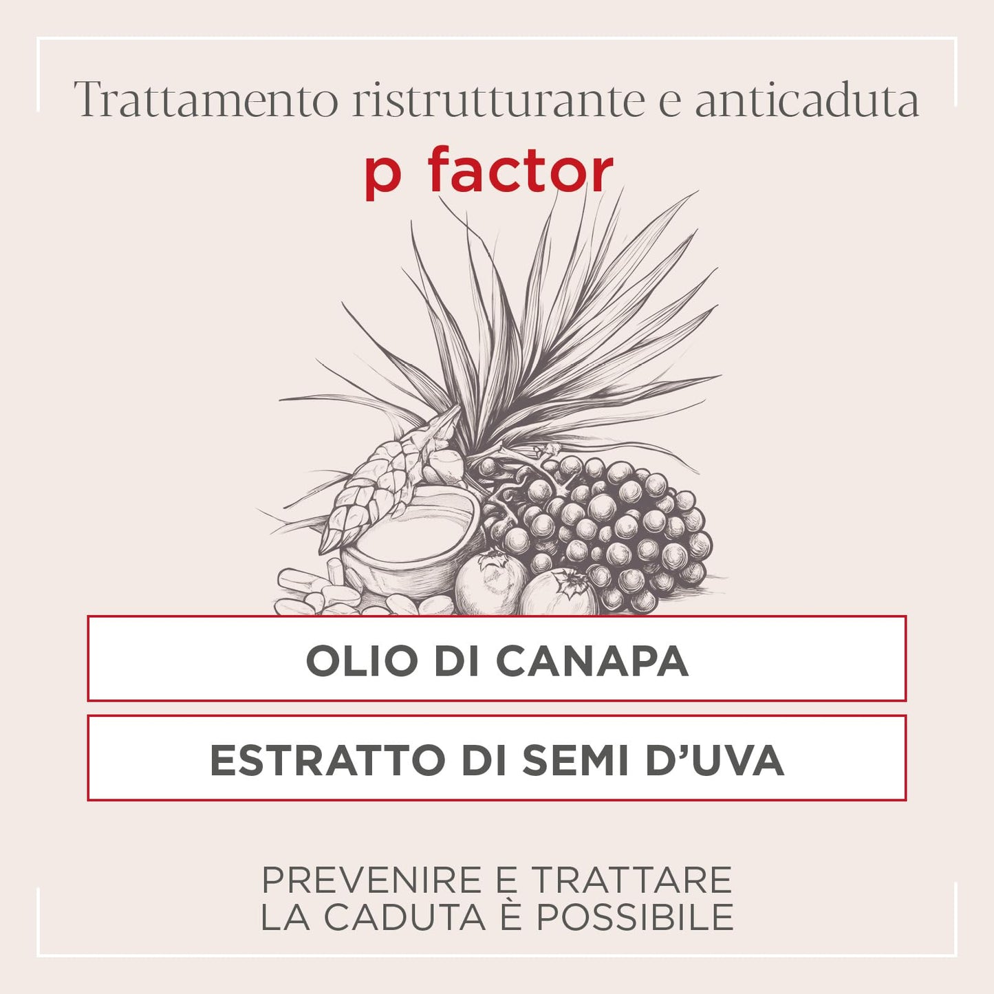 Kemon Actyva P-Factor Shampoo 250ml