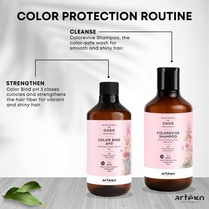 ARTEGO Rain Dance Oasis Color Bind Treatment 500ml