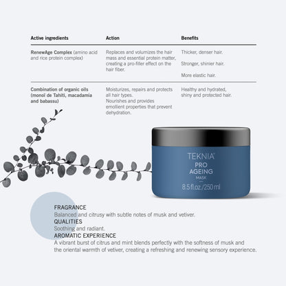 Lakme Teknia Pro-Ageing Mask 250ml