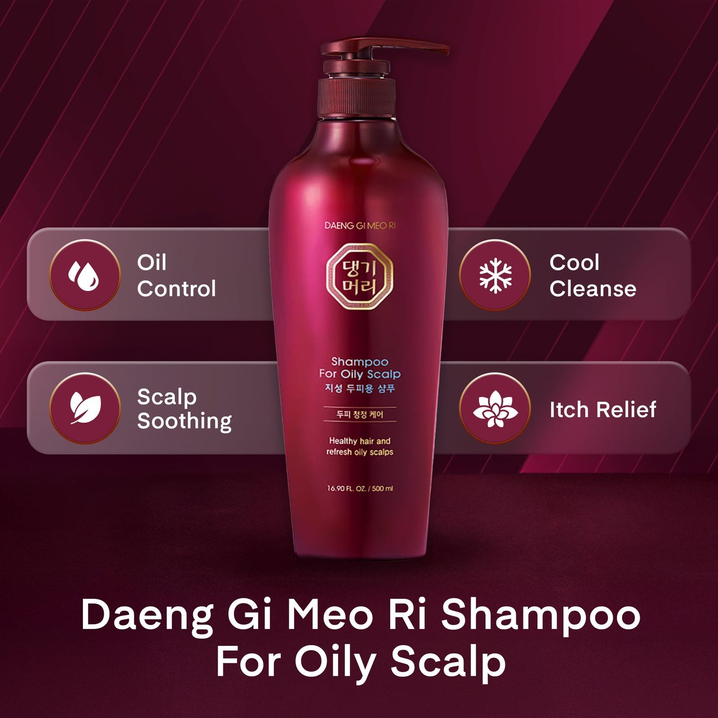 Daeng Gi Meo Ri Oily Scalp Shampoo 500ml