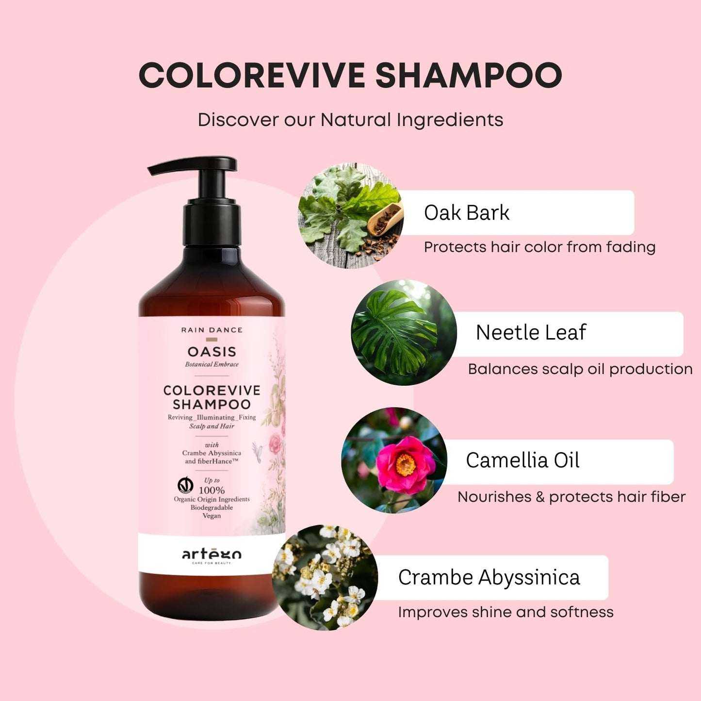 ARTEGO Rain Dance Oasis Colorevive Shampoo 1000ml