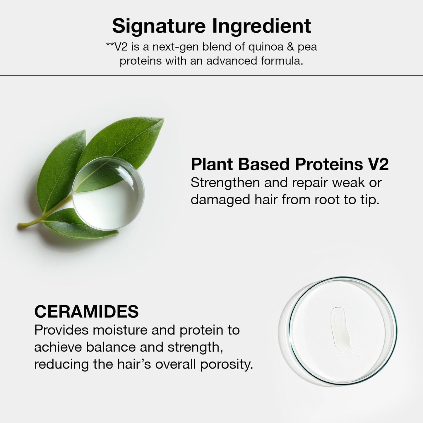 Global Keratin GKHair 8 Light Blonde Farba 100ml