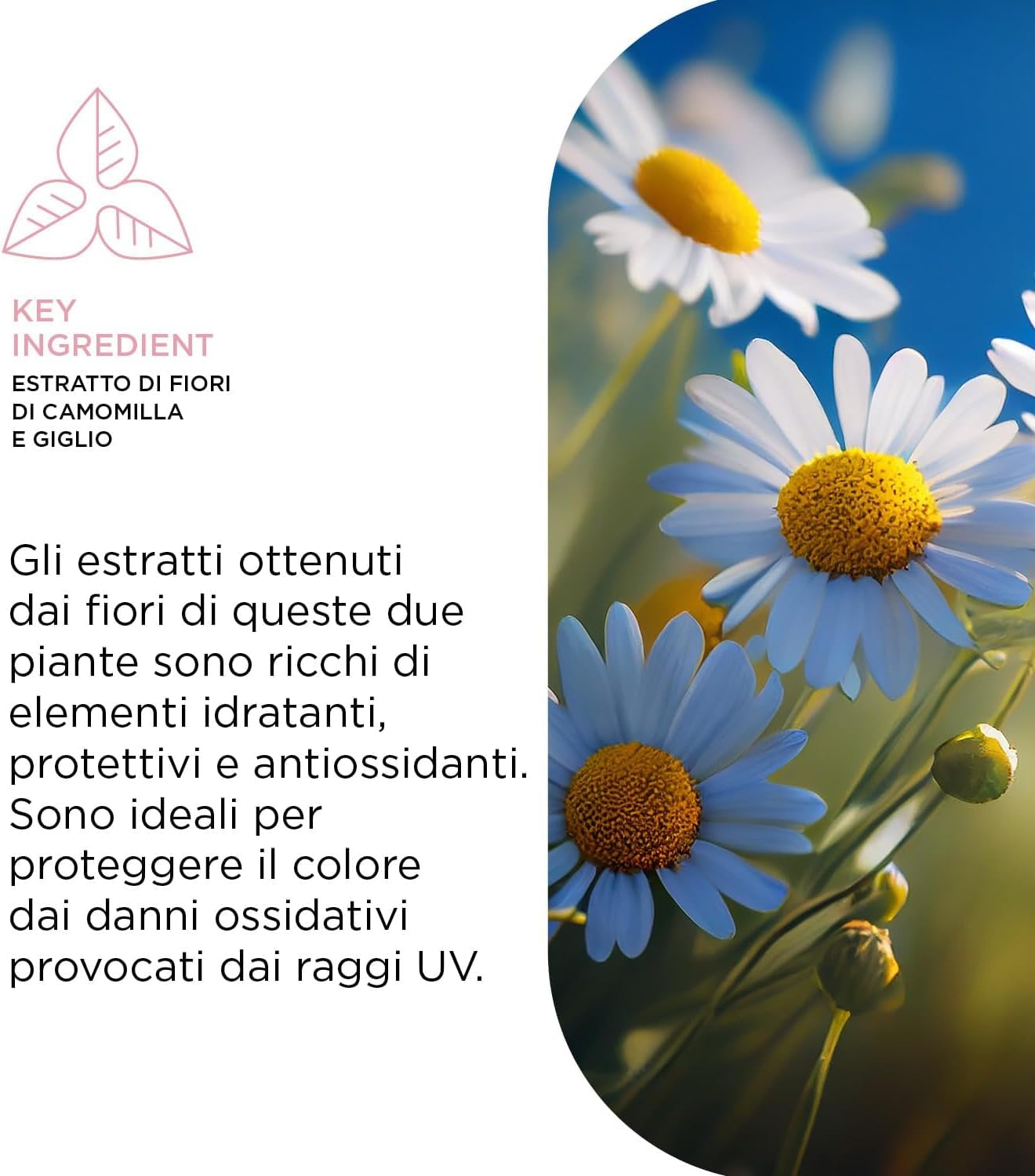 Kemon Color Illuminating Shampoo 1000ml