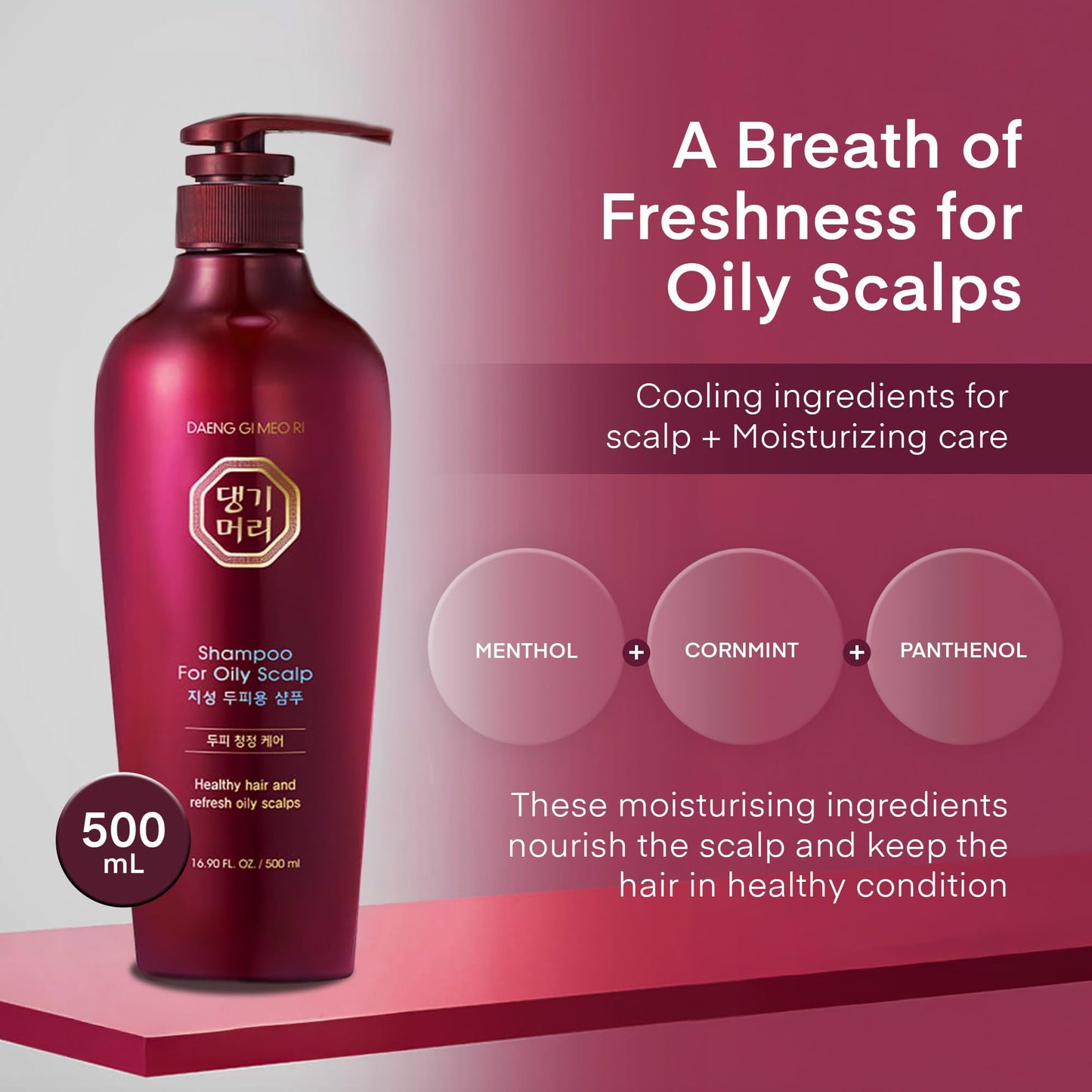 Daeng Gi Meo Ri Oily Scalp Shampoo 500ml