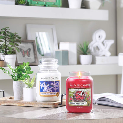 Yankee Candle Small Jar Midnight Jasmine 104g
