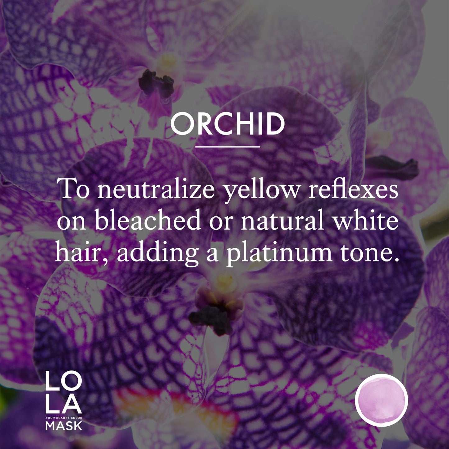 ARTEGO LOLA Your Beauty Color Mask Orchid 200 ml