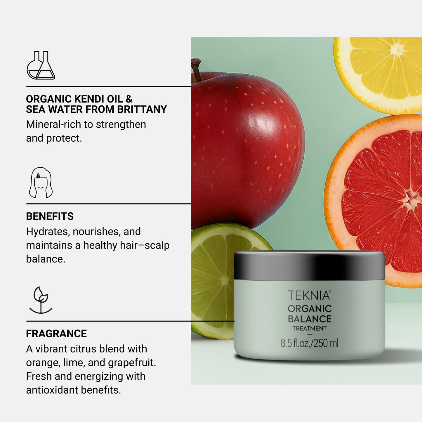 Lakme Teknia Organic Balance Treatment Mask 250ml