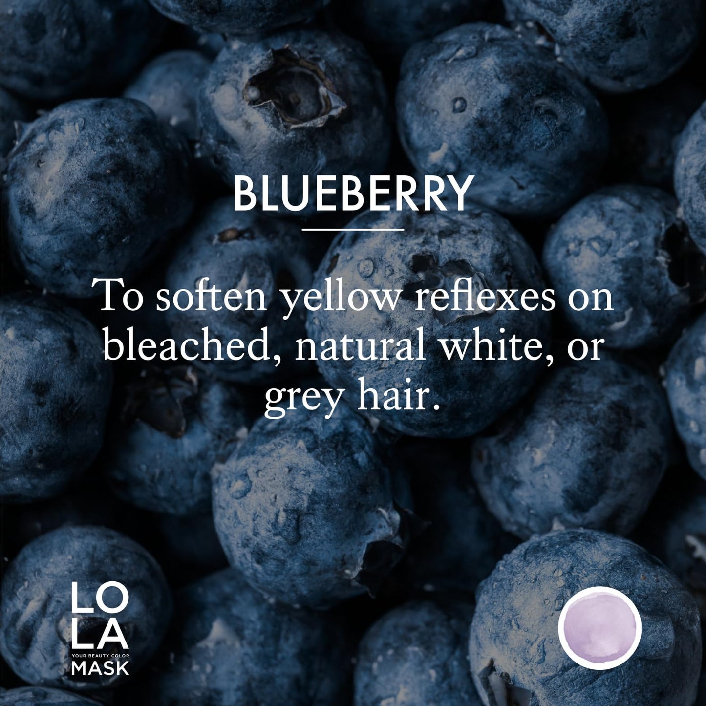 ARTEGO LOLA Your Beauty Color Mask Blueberry 200ml