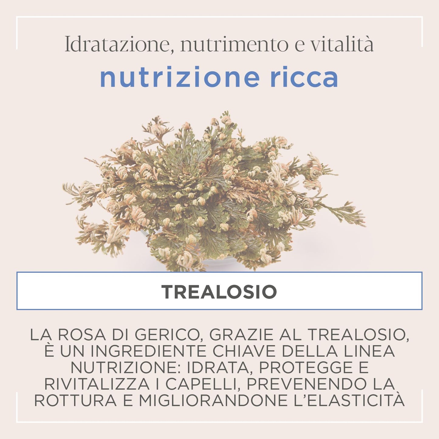 Kemon Actyva Nutrizione Ricca Refil Shampoo 1000ml