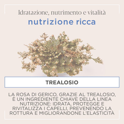 Kemon Actyva Nutrizione Ricca Refil Shampoo 1000ml