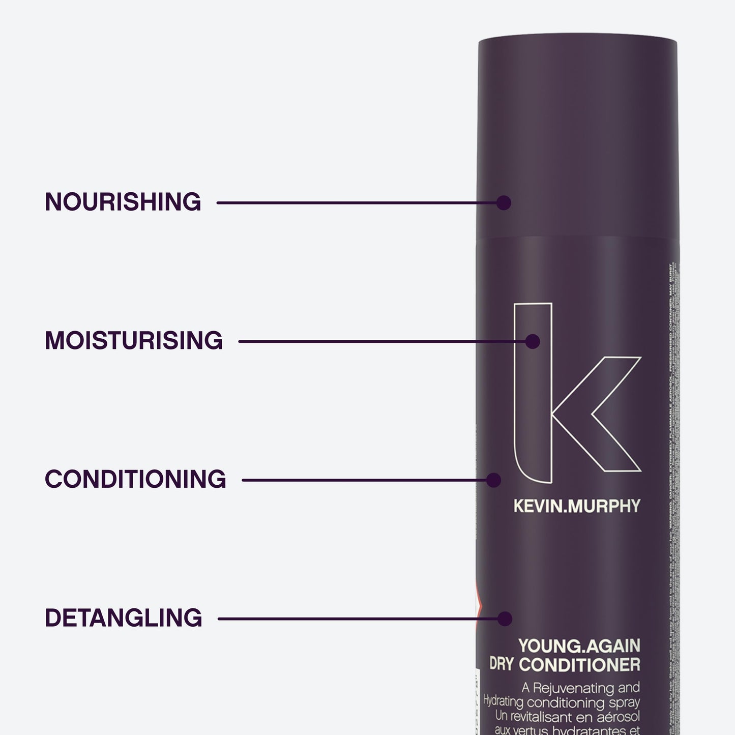 Kevin Murphy Young Again Dry Conditioner 250ml