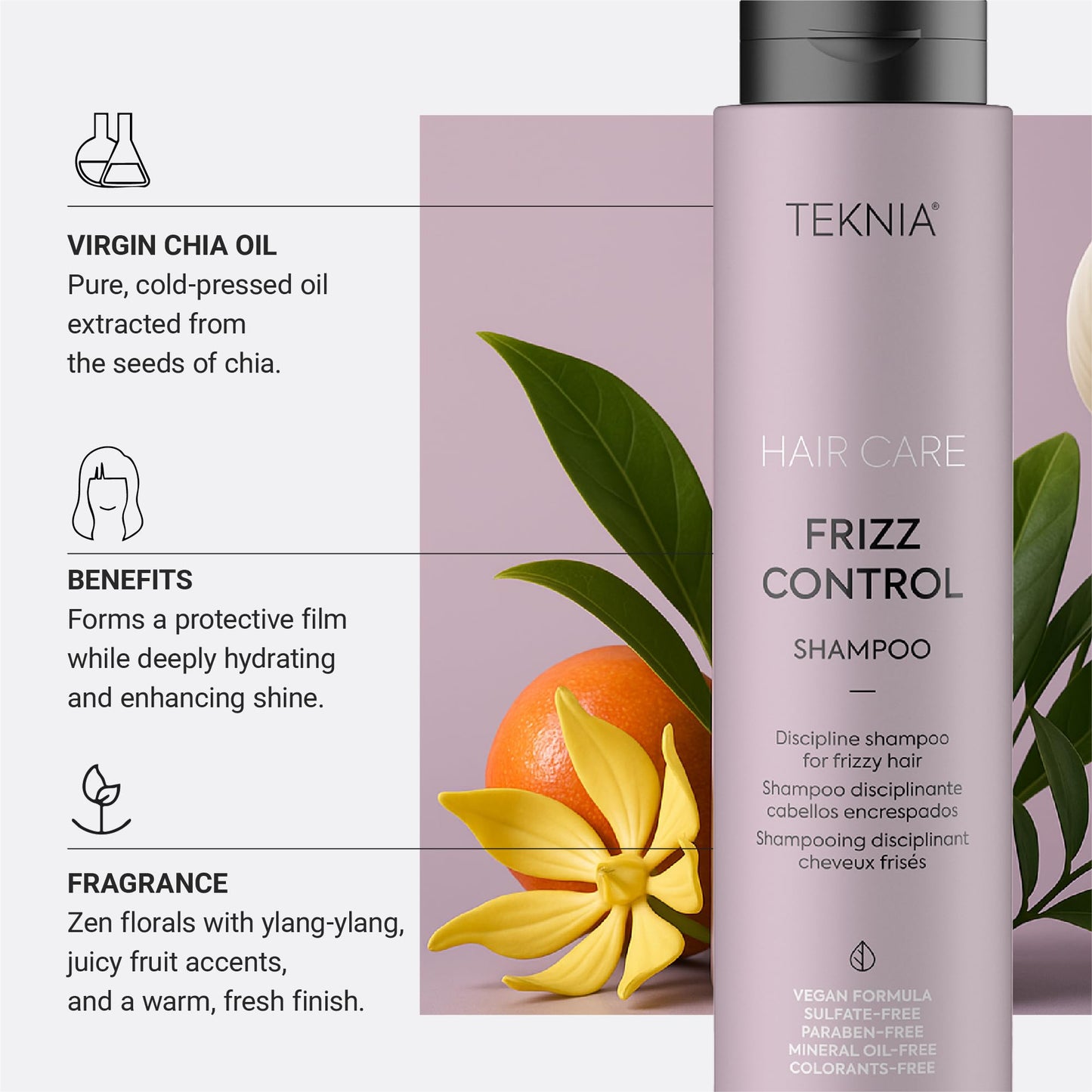 Lakme Teknia Frizz Control Shampoo 300ml