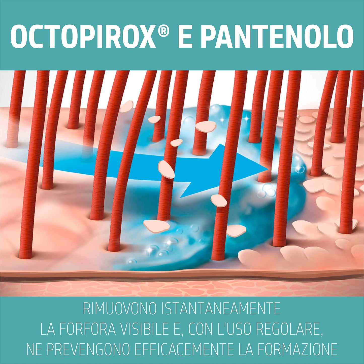 Goldwell DLS Scalp Deep Cleansing Szampon 250ml