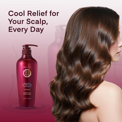 Daeng Gi Meo Ri Oily Scalp Shampoo 500ml