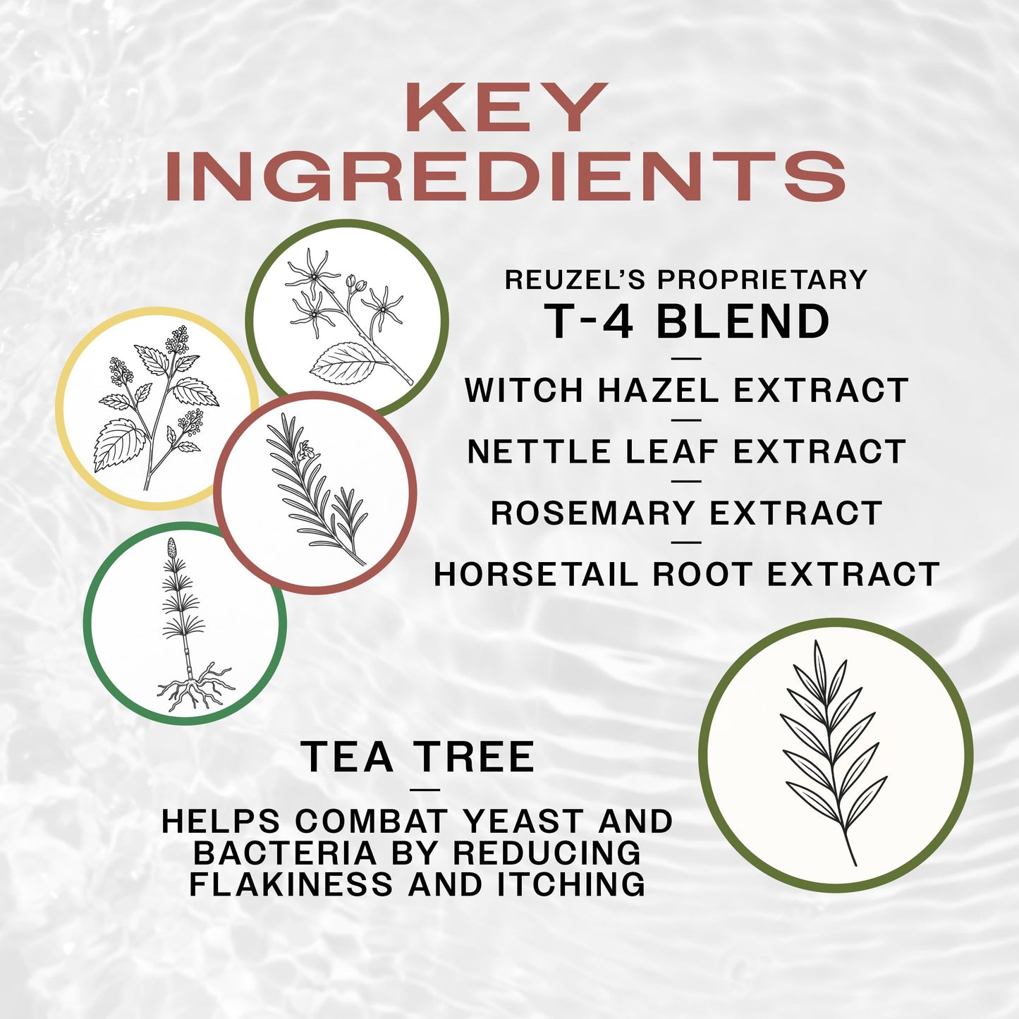 Reuzel 3in1 Tea Tree Shampoo 350ml.