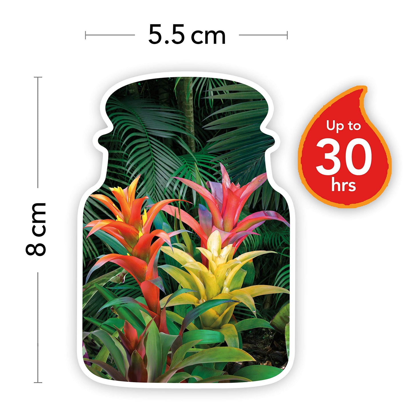 Yankee Candle Small Jar Tropical Jungle 104g