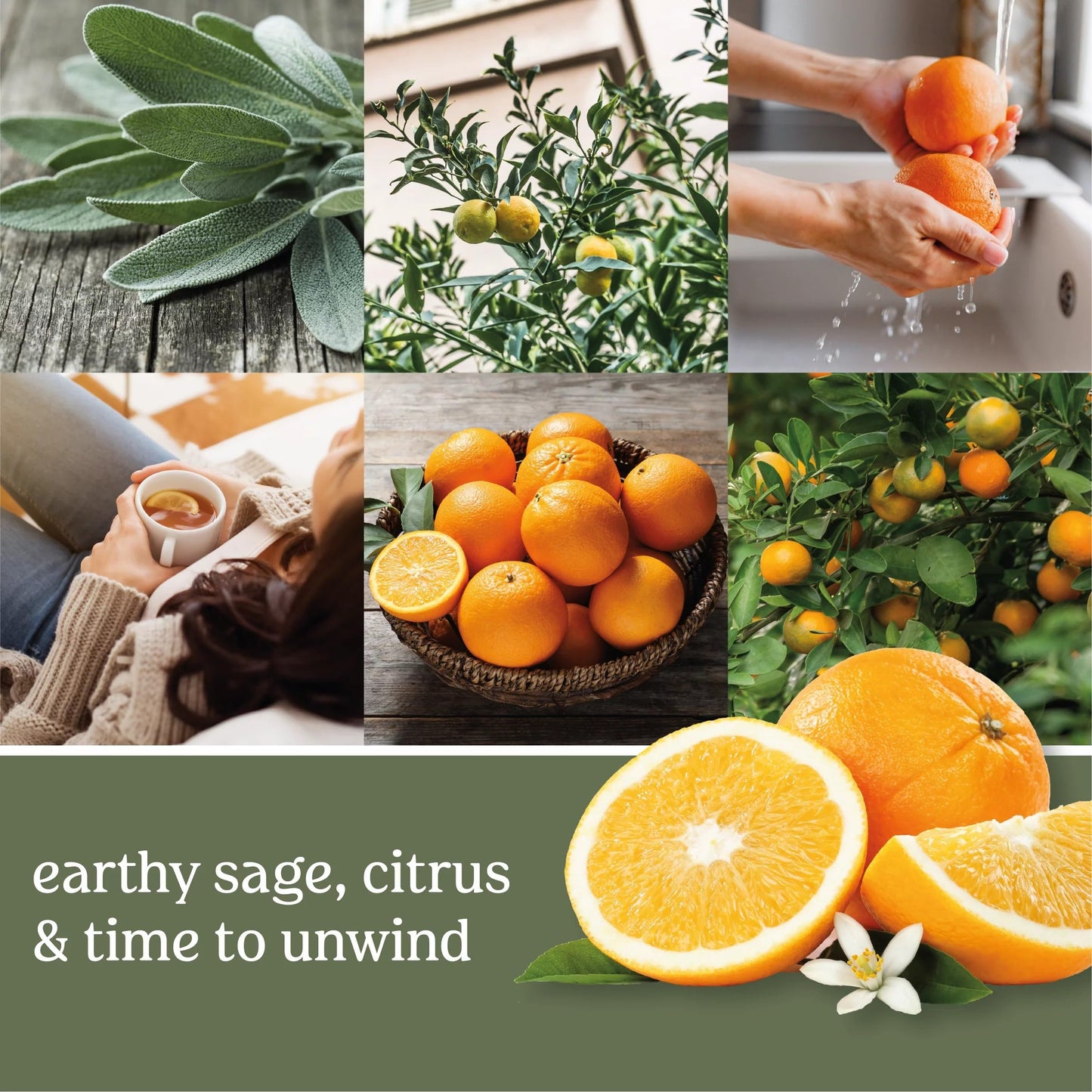 Yankee Candle Car Jar Single Sage & Citrus